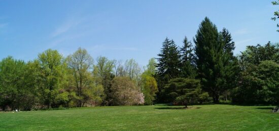 Terrain à bâtir à Limours, Île-de-France