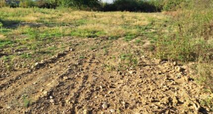 Frégouville Terrain à bâtir - 2387139-9555annonce120260109ipTfl.jpeg Maisons Open