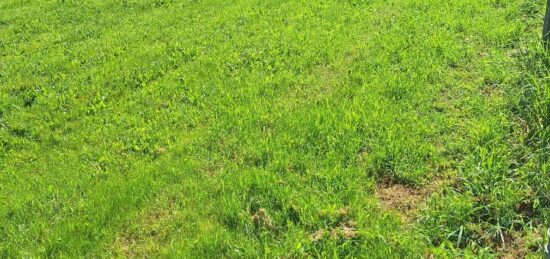 Terrain à bâtir à La Ville-Dieu-du-Temple, Occitanie