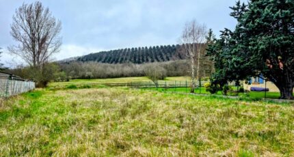 Laroque-d'Olmes Terrain à bâtir - 2452524-10326annonce120260310kT3aC.jpeg Maisons Open