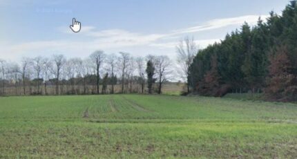 Empeaux Terrain à bâtir - 2455896-9555annonce120260313GxBBO.jpeg Maisons Open