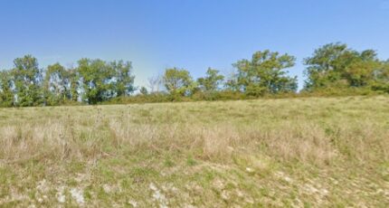 Cologne Terrain à bâtir - 2455885-9555annonce120260313Q3anb.jpeg Maisons Open