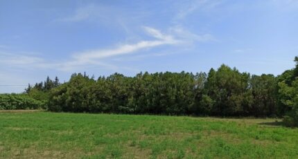 Salon-de-Provence Terrain à bâtir - 2370095-3969annonce120251216TqNTP.jpeg Maisons Open