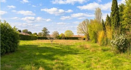 Fontenilles Terrain à bâtir - 2455534-10327annonce120260312r04sc.jpeg Maisons Open