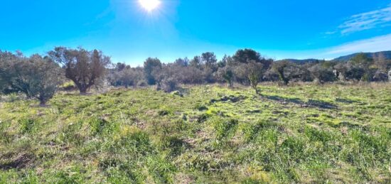 Terrain à bâtir à Bagnols-en-Forêt, Provence-Alpes-Côte d'Azur