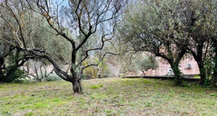 Pignans Terrain à bâtir - 2390434-4866annonce120260113tbfxL.jpeg Maisons Open