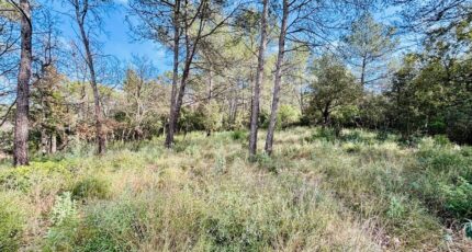 Rocbaron Terrain à bâtir - 2390933-4866annonce120260113AASwq.jpeg Maisons Open