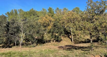 Taradeau Terrain à bâtir - 2390964-4866annonce32026011330Kov.jpeg Maisons Open