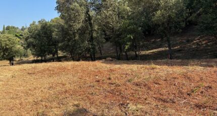 Taradeau Terrain à bâtir - 2390964-4866annonce520260113ieuoA.jpeg Maisons Open