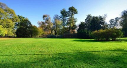 Neuilly-en-Thelle Terrain à bâtir - 2456462-11819annonce120260313TAJr6.jpeg Maisons Open