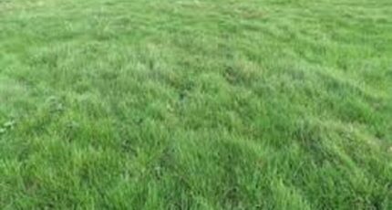 Voulx Terrain à bâtir - 2352181-1635annonce120251128pzFTV.jpeg Maisons Open