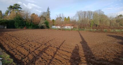 Antonne-et-Trigonant Terrain à bâtir - 2417405-9455annonce120260203la8Qa.jpeg Maisons Open