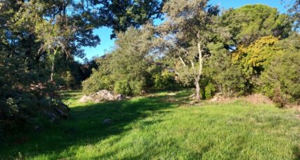 Camps-la-Source Terrain à bâtir - 2365009-11137annonce220250108HPUaK.jpeg Maisons Open