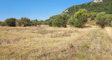 Gonfaron Terrain à bâtir - 2365018-11137annonce220250813TwyrL.jpeg Maisons Open