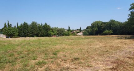 Puget-sur-Argens Terrain à bâtir - 2365157-11137annonce120250730dKc59.jpeg Maisons Open