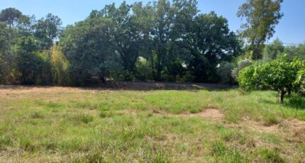 Puget-sur-Argens Terrain à bâtir - 2365157-11137annonce220250730L6C7c.jpeg Maisons Open