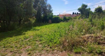 Cuers Terrain à bâtir - 2385361-11137annonce120250512a7B3q.jpeg Maisons Open