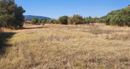 Gonfaron Terrain à bâtir - 2365152-11137annonce220250813sn2oU.jpeg Maisons Open