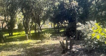 Lauret Terrain à bâtir - 2457603-11169annonce120260316uvRnM.jpeg Maisons Open