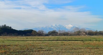 Villeneuve-de-la-Raho Terrain à bâtir - 2391502-4671annonce1202601131onp3.jpeg Maisons Open