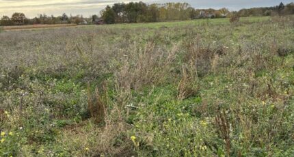 Daumeray Terrain à bâtir - 2392161-10544annonce120260114wPOmc.jpeg Maisons Open