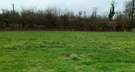 Lison Terrain à bâtir - 2417397-11660annonce120260203VNIbd.jpeg Maisons Open