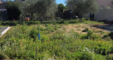 La Crau Terrain à bâtir - 2457666-11077annonce120260316Q6rhq.jpeg Maisons Open