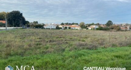 Meschers-sur-Gironde Terrain à bâtir - 2457926-11163annonce120260316r95OS.jpeg Maisons Open