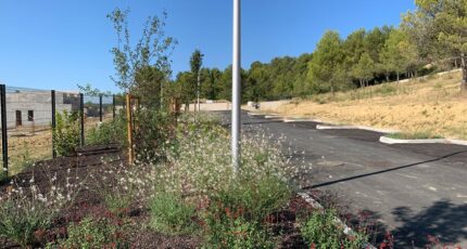 Saint-Gély-du-Fesc Terrain à bâtir - 2458071-3243annonce120260316wIkNo.jpeg Maisons Open