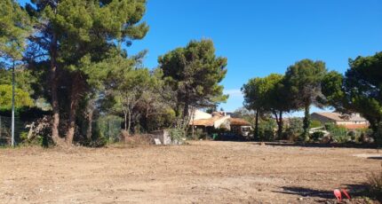 Fleury Terrain à bâtir - 2386096-665annonce1202601083U119.jpeg Maisons Open