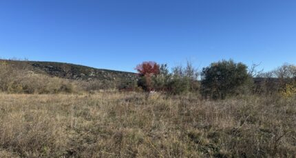 Saint-Jean-de-Fos Terrain à bâtir - 2360554-10896annonce220251208q9OK4.jpeg Maisons Open