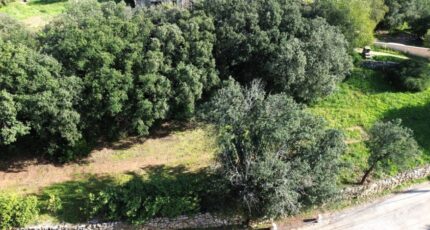 Plaissan Terrain à bâtir - 2362442-10896annonce220251209NODnA.jpeg Maisons Open