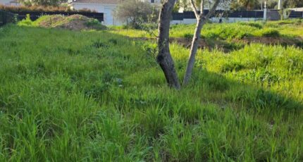 Hyères Terrain à bâtir - 2458167-11077annonce1202603169Wvy7.jpeg Maisons Open