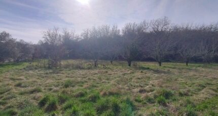 Orgnac-l'Aven Terrain à bâtir - 2458069-5100annonce120260316mzGGW.jpeg Maisons Open