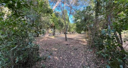 La Seyne-sur-Mer Terrain à bâtir - 2458403-9599annonce120260316sFf4X.jpeg Maisons Open