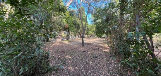 Terrain à bâtir à La Seyne-sur-Mer, Provence-Alpes-Côte d'Azur