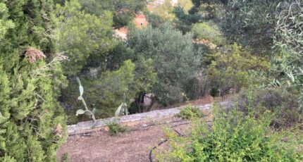 La Cadière-d'Azur Terrain à bâtir - 2458364-9599annonce120260316XgpXy.jpeg Maisons Open