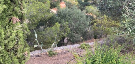 Terrain à bâtir à La Cadière-d'Azur, Provence-Alpes-Côte d'Azur