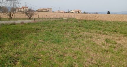 Saint-Romain-d'Ay Terrain à bâtir - 2458110-11248annonce120260316Ua2RR.jpeg Maisons Open