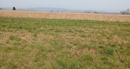 Préaux Terrain à bâtir - 2458101-11248annonce1202603169IT0r.jpeg Maisons Open