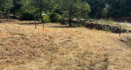 Taradeau Terrain à bâtir - 2456721-5922annonce120260313BmTZJ.jpeg Maisons Open