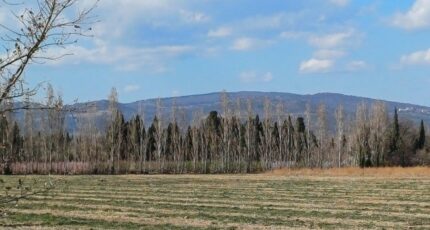 Palau-del-Vidre Terrain à bâtir - 2458574-4671annonce120260317Q6Z2M.jpeg Maisons Open