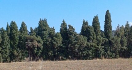 Théza Terrain à bâtir - 2458639-4671annonce120260317DdR94.jpeg Maisons Open