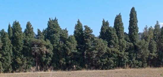 Terrain à bâtir à Théza, Occitanie