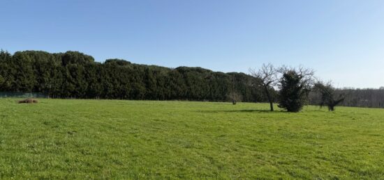 Terrain à bâtir à Saint-Pardon-de-Conques, Nouvelle-Aquitaine