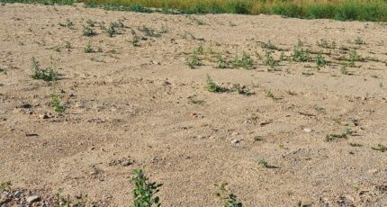 Latour-Bas-Elne Terrain à bâtir - 2458708-4671annonce120260317WcDiS.jpeg Maisons Open