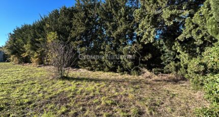 Vacqueyras Terrain à bâtir - 2459197-695annonce320260317LTxoH.jpeg Maisons Open