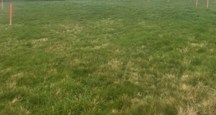 Lougé-sur-Maire Terrain à bâtir - 2459057-1153annonce120241118MUDwM.jpeg Maisons Open