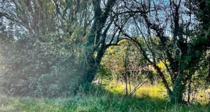 La Bouilladisse Terrain à bâtir - 2390917-10271annonce12026011349qK3.jpeg Maisons Open