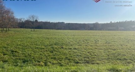 Casteljaloux Terrain à bâtir - 2459665-9795annonce220260212IOyx0.jpeg Maisons Open